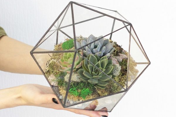 Florarium geometric design