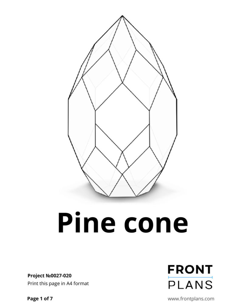 Pine Cone Geometric Florarium design plan, DIY blueprint, Terrarium template